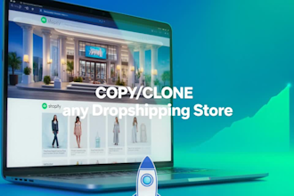 build shopify website, design or redesign shopify store, dropshipping store