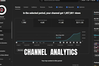 be your youtube video SEO expert for video ranking