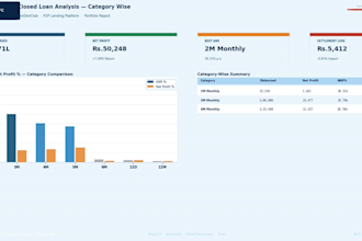 convert excel data into dashboard and professional report