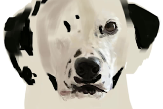 provide digital pet portraits