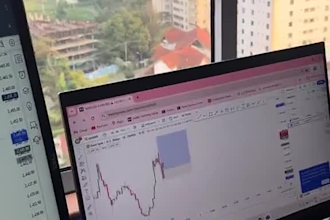teach you a low risk forex day trading strategy