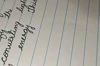 provide neat and professional handwriting service