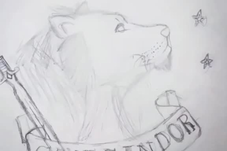 draw a custom illustration in pencil, color, or digital art