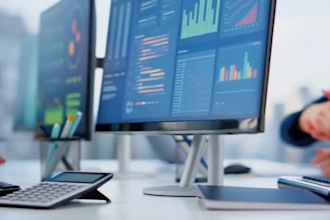 provide professional accounting and bookkeeping services