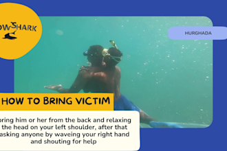 coaching online snorkeling for travelers