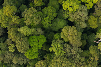 create a cinematic ai commercial and brand film from your script