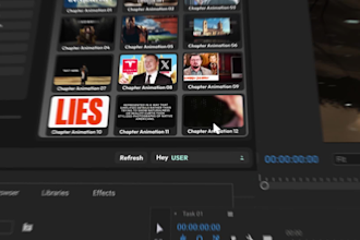 develop custom udx or cep plugins for premiere pro, ae , pts and more