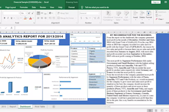 create excel data analysis and reporting