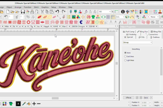 do professional embroidery digitizing for logo, cap and left chest