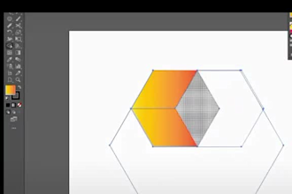 design professional vector ilustrator