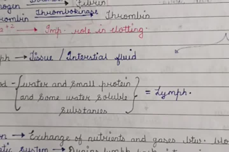 create handwritten letter and notes for you