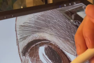 create a custom pet portrait illustration