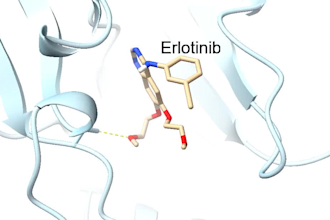 run molecular docking and MD trajectory analysis in autodock vina