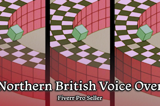 be your professional northern british english male voice over artist