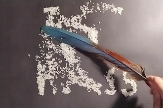 create a unique handcrafted art video for your company logo or brand