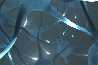 do 3d medical animation
