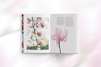 travel books design coffee table books, guide book, ebook