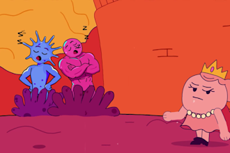create 2d and 3d animation videos for children and kids