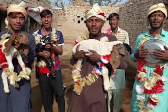 wish african happy birthday video or happy birthday video