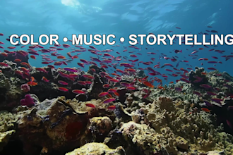 edit underwater, scuba diving, coral reef, marine life and adventure videos
