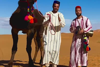 wish you happy birthday with camel from sahara desert