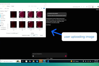 develop high accuracy custom yolo object detection models for images and videos