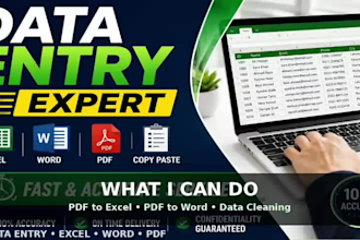 do accurate data entry, typing and excel data entry
