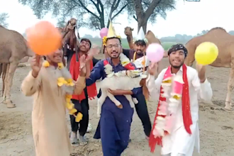 create africa happy birthday video and wish with dance