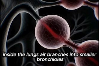 create 3d medical anatomy, physiology and healthcare animation