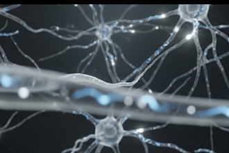 create ai medical animation,anatomy explainer video healthcare patient education