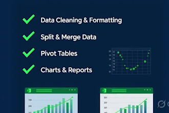 clean, format, split, and merge excel data