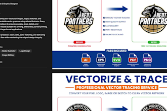 clean and professional vector tracing services