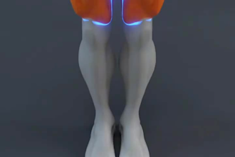 create 3d gym animation, exercise, workout, fitness animation video