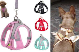 create pet accessories tech pack pet harnesses tech pack design cat dog wears