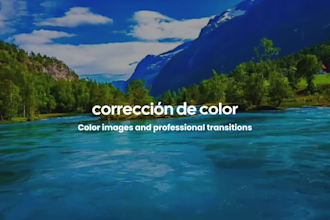 viral reels and tiktoks with animated captions