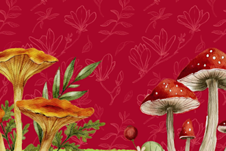 help you create an eye catching social media poster