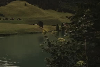 do reels and shorts edits