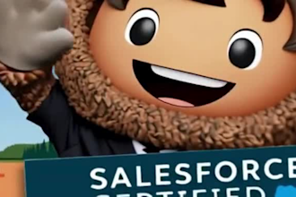 be your salesforce developer, consultant, and administrator