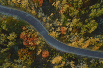 create stunning canva videos for your brand