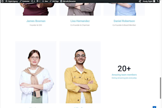design modern wordpress website for small business
