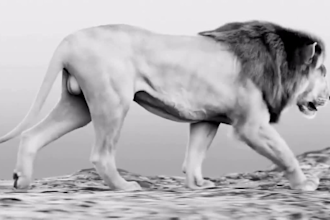 do high quality 3d animal model, animal with xgen, fur, grooming hair animation