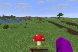 make a minecraft mod for you