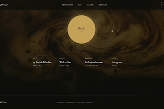 design a premium website for your business