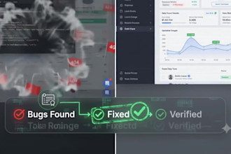 provide professional web testing qa audit and software consultation
