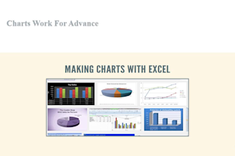 excel expert, data entre work