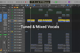 tune and process your vocals with instrumental