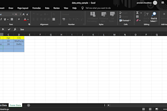 do data cleaning copy paste and microsoft excel work