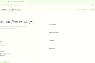 build a custom website or professional online store