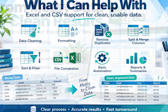 clean, organize, and automate excel and CSV data