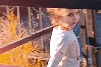 edit viral instagram reels, tiktoks and youtube shorts